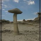 Bisti Wilderness Area, New Mexico, USA