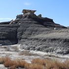 Bisti Wilderness - auf Kohle "gebaut"