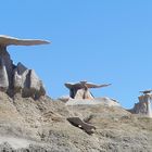 Bisti Wilderness