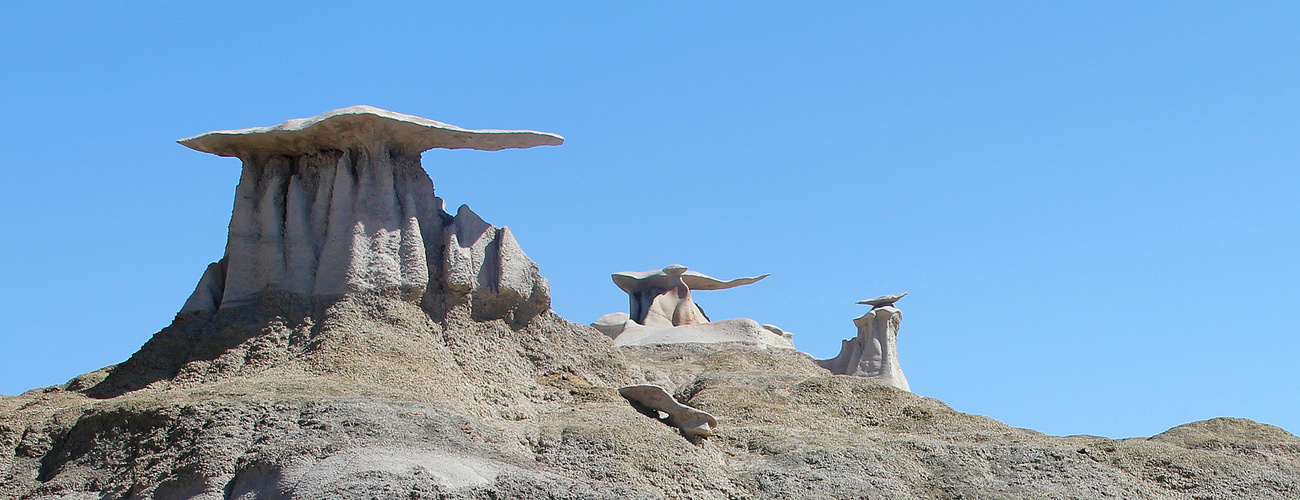 Bisti Wilderness