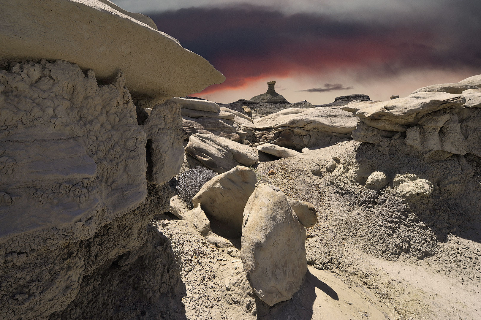 Bisti Wilderness