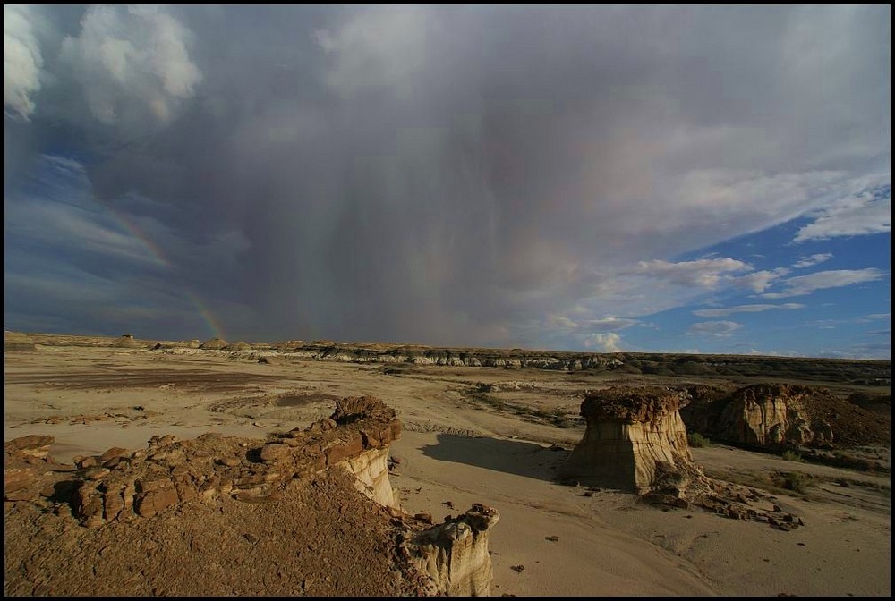 Bisti Wilderness, Farmington, New Mexico