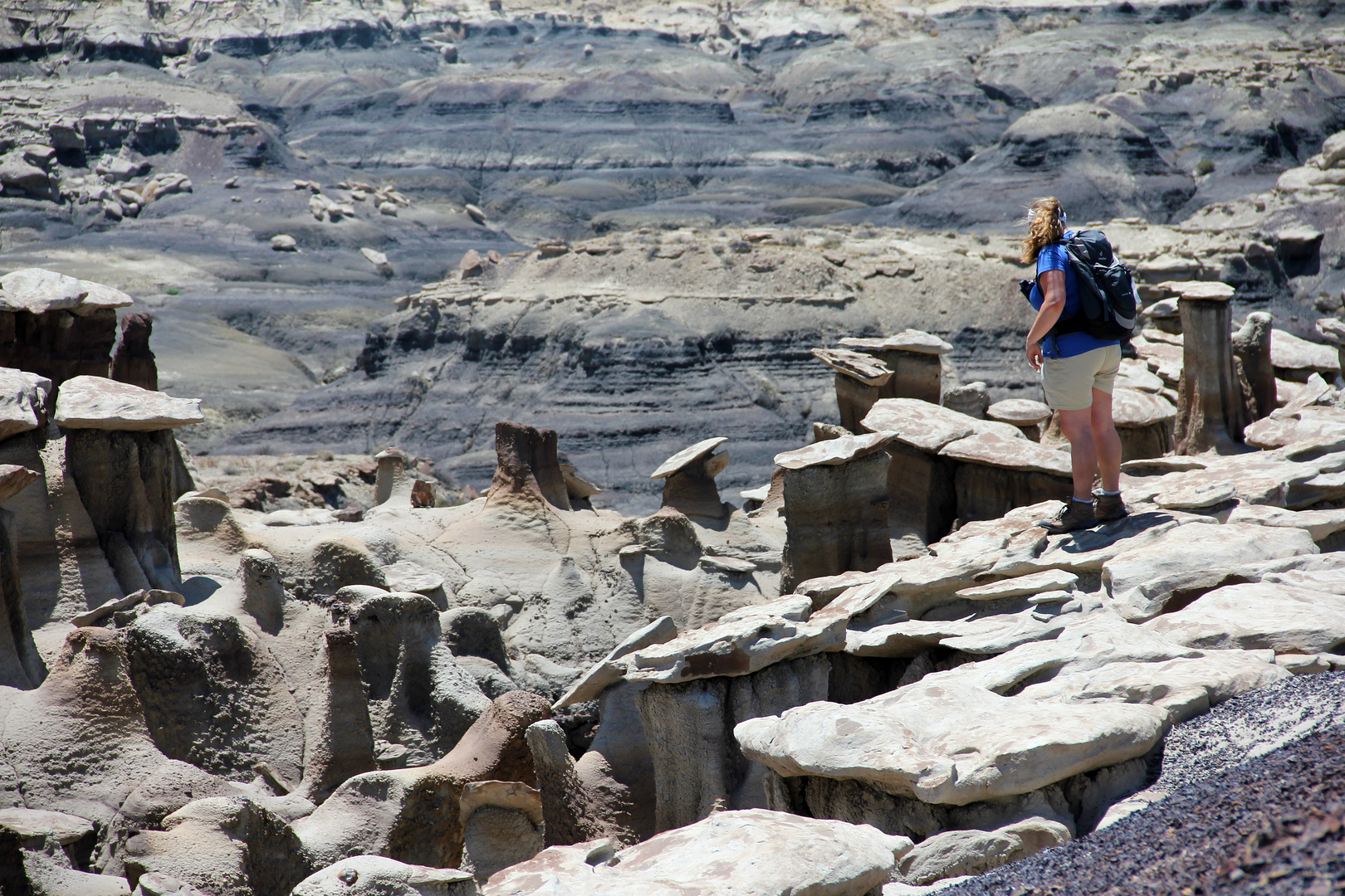 Bisti Wilderness - Nicht von dieser Welt