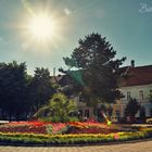 Bistrita - Iunie 2014 ,Dupa amiaza in parc.