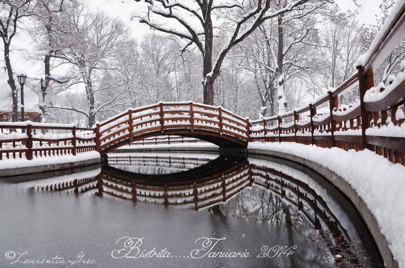 Bistrita- Winter - 2014, Ianuarie ..prin parc