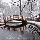 Bistrita- Winter - 2014, Ianuarie ..prin parc