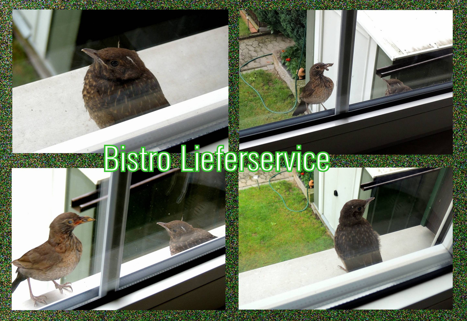 Bistro Lieferservice