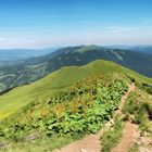 Biszczady 3