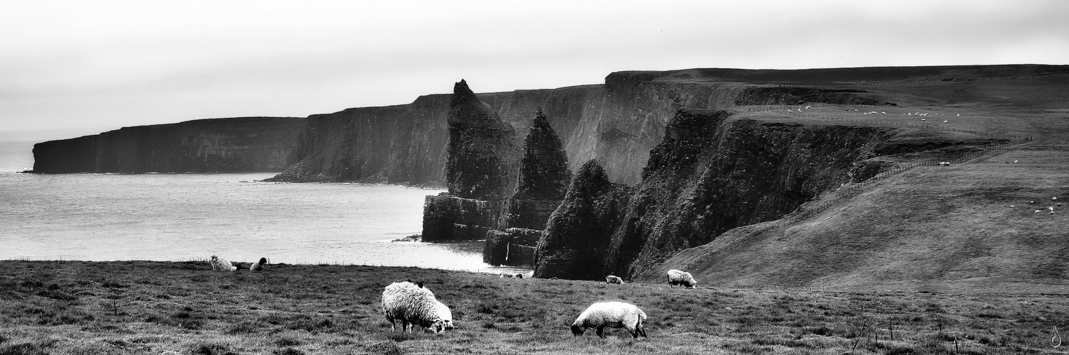 Bite of The Coast   --   Duncansby ©D5157_B.p05_3#1