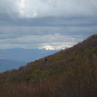 Bitola Berge