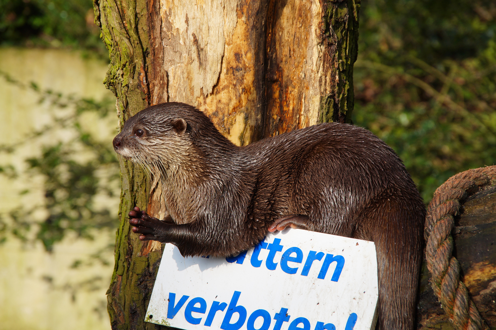 ...bitte , achtet nicht auf das Schild!