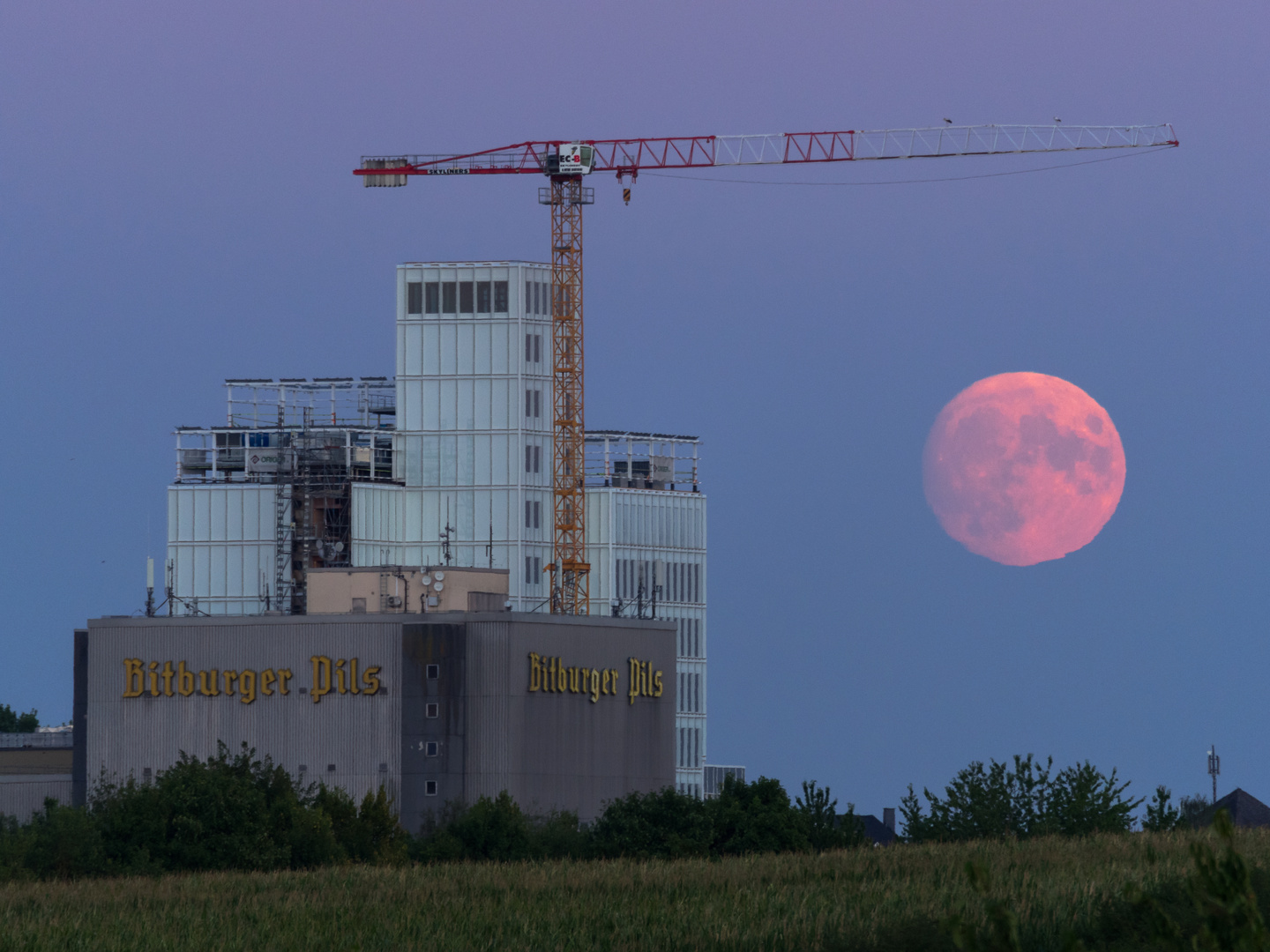 Bitte ein Mond