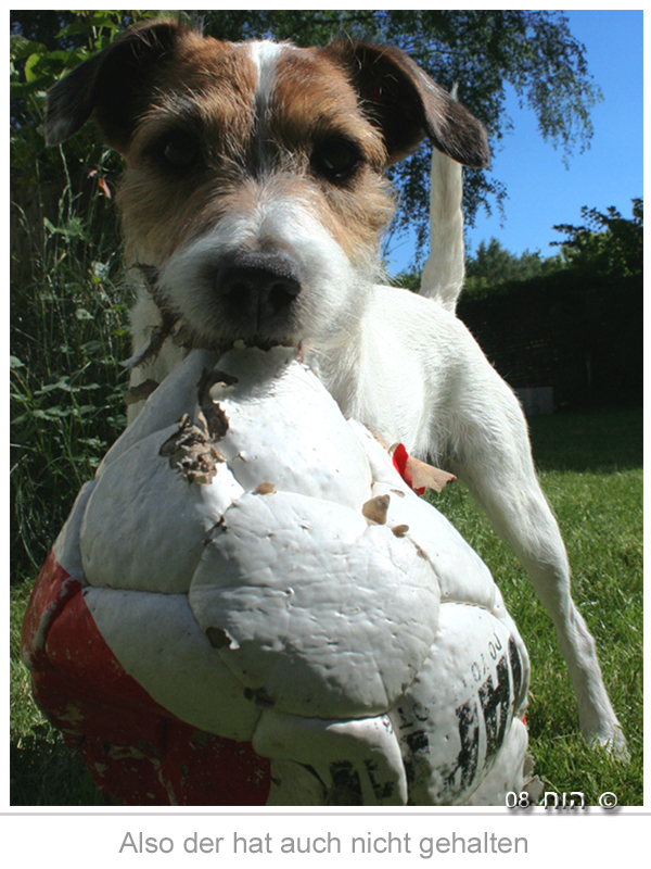 Bitte einen neuen Ball!