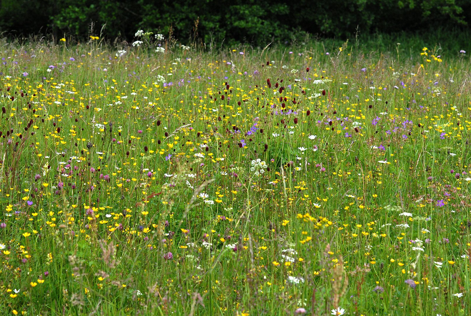 Bitte Frühling komm bald, wir warten in der Erde auf dich