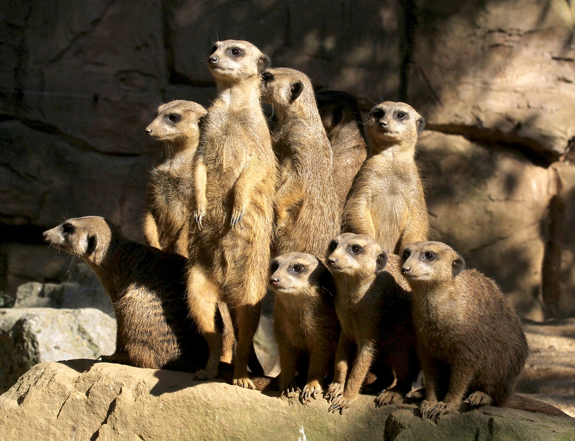 Bitte jetzt alle zum Gruppenbild aufstellen!