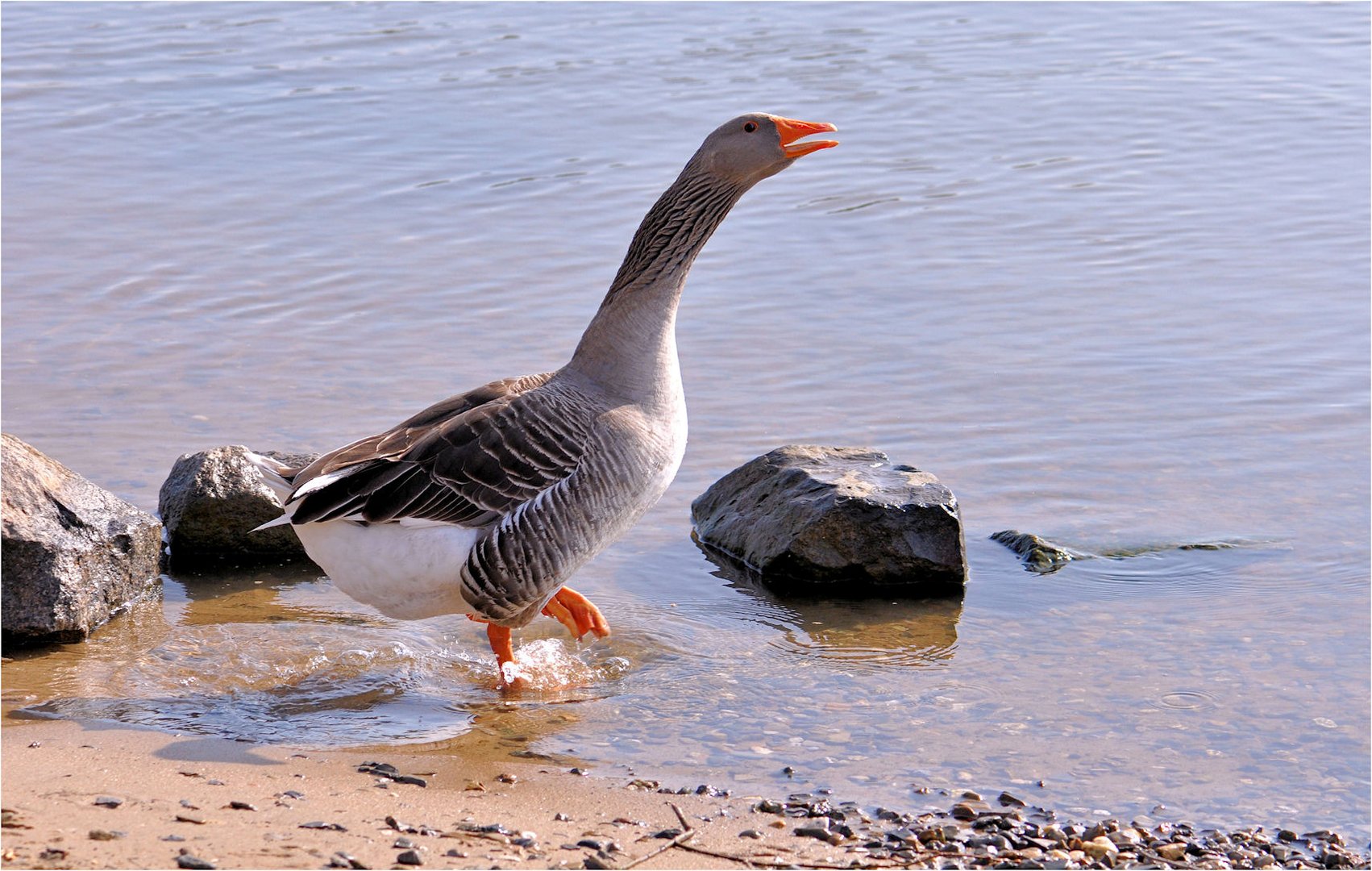 bitte kein Foto....