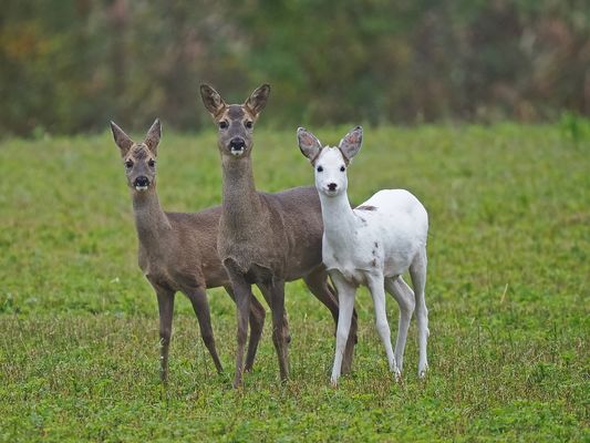Bitte lächeln  ;-))