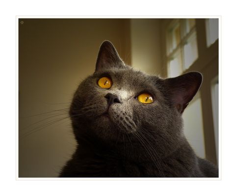 Bitte lieber Gott ..*