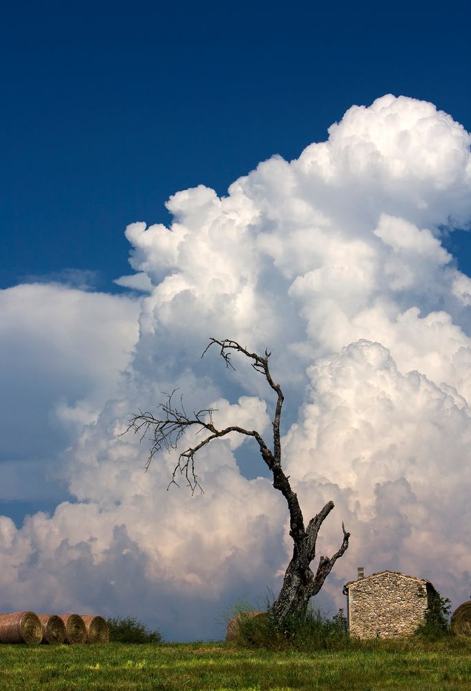 bitte nicht schon wieder Sturm