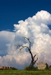 bitte nicht schon wieder Sturm