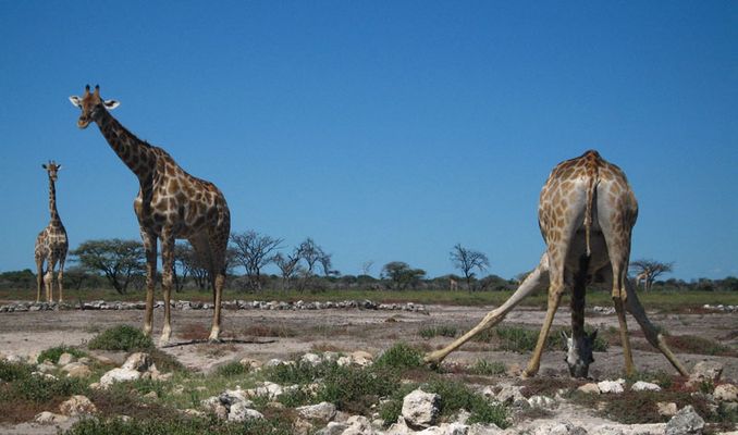 Bitte nicht schubsen!