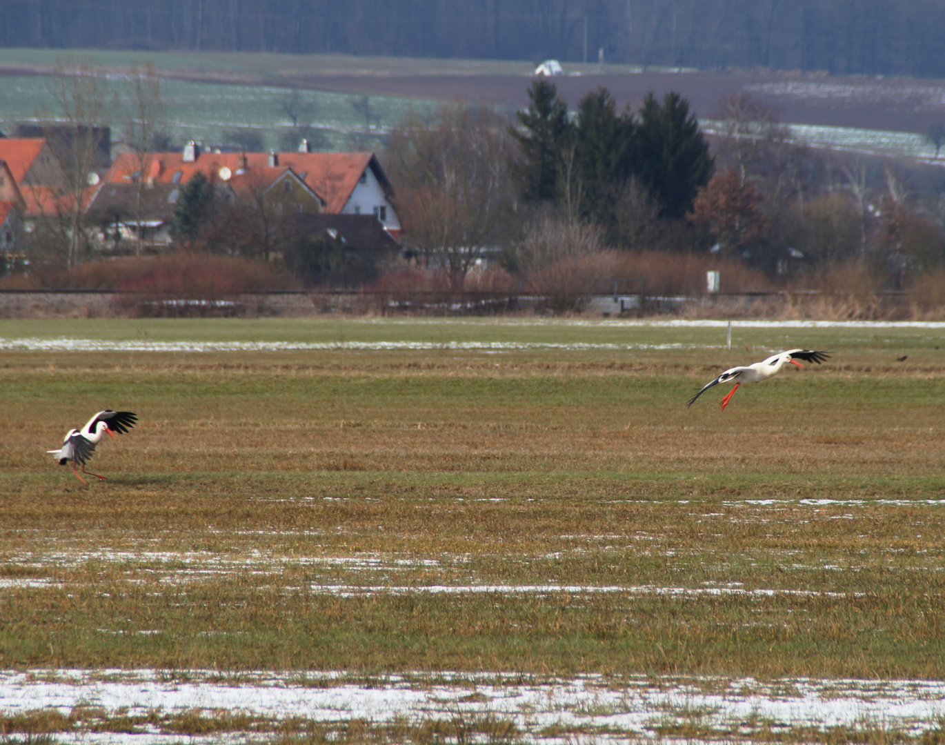 Bitte Platz nehmen am reich gedeckten Tisch der Natur