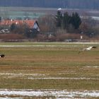 Bitte Platz nehmen am reich gedeckten Tisch der Natur