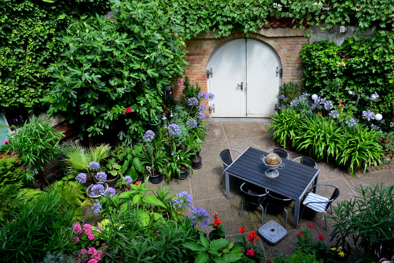 "Bitte Platz nehmen" Innenhof mit blühenden Akapanthus-Dolden