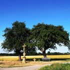 Bitte Platz nehmen und ausruhen