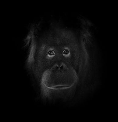 Bitte recht freundlich!