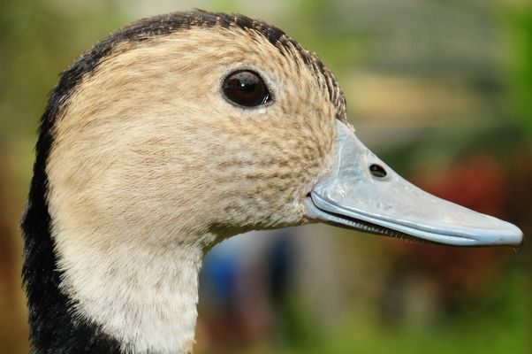 Bitte recht freundlich.