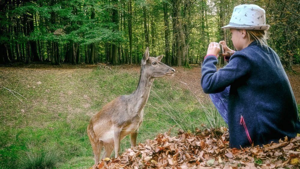 Bitte recht freundlich!