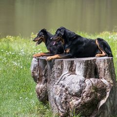 Bitte recht freundlich!