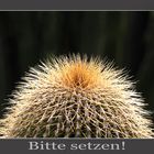 Bitte setzen!