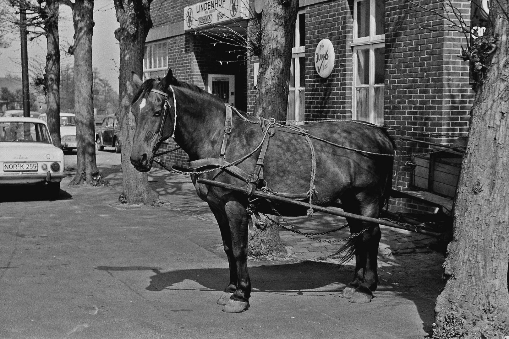 Bitte warten.....Pferd in den 70 er Jahren...