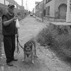 Bitterfeld, 2. Besuch, Juli 2008, 7