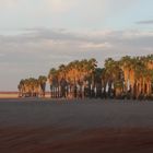 Bitterwasser, Namibia