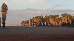 Bitterwasser, Namibia