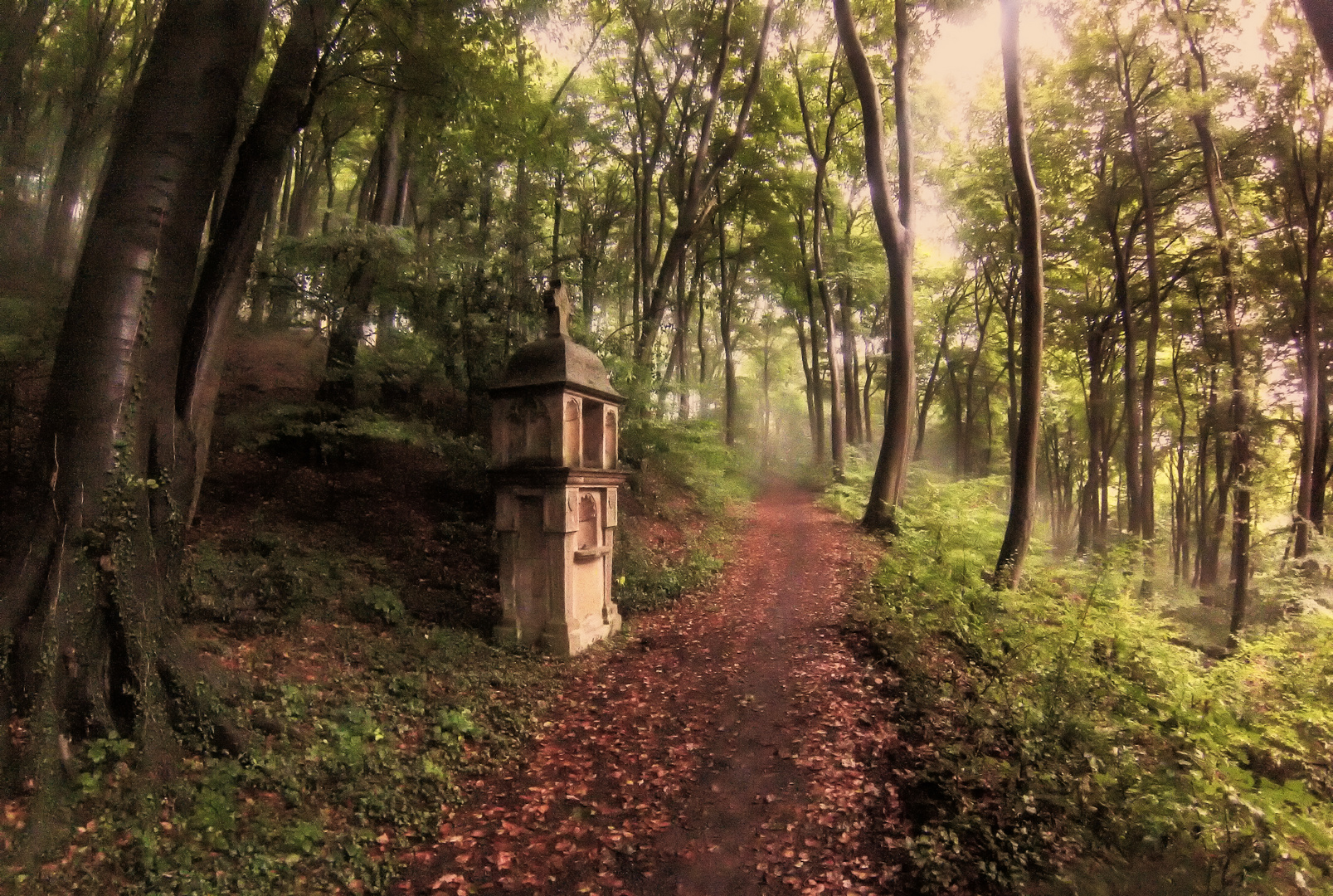 Bittweg am Petersberg