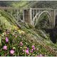 Bixby Bridge