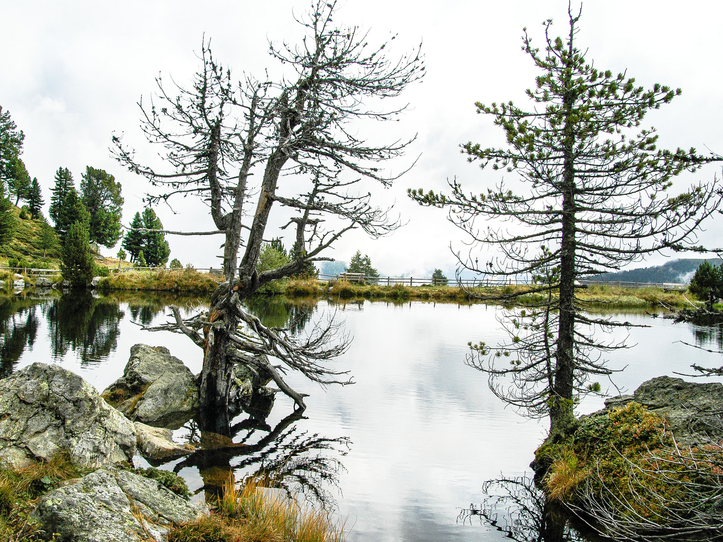 Bizarr - Windebensee in den Nockbergen