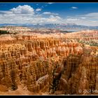 Bizarre Bryce Canyon