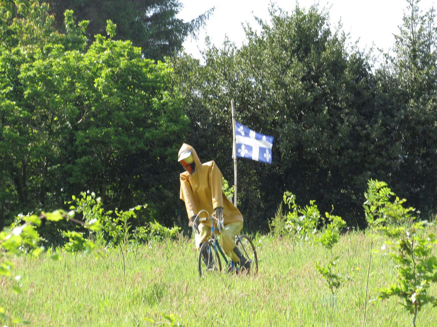 ..Bizarre, ce cycliste...