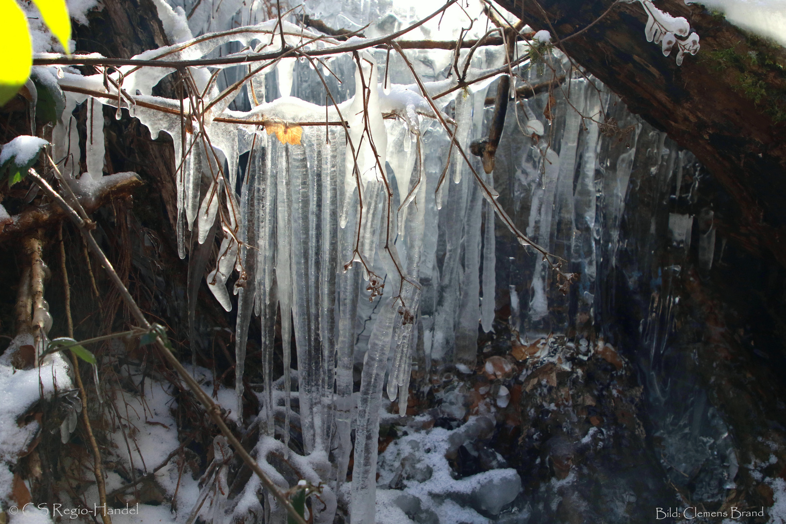 Bizarre Eiswelten I