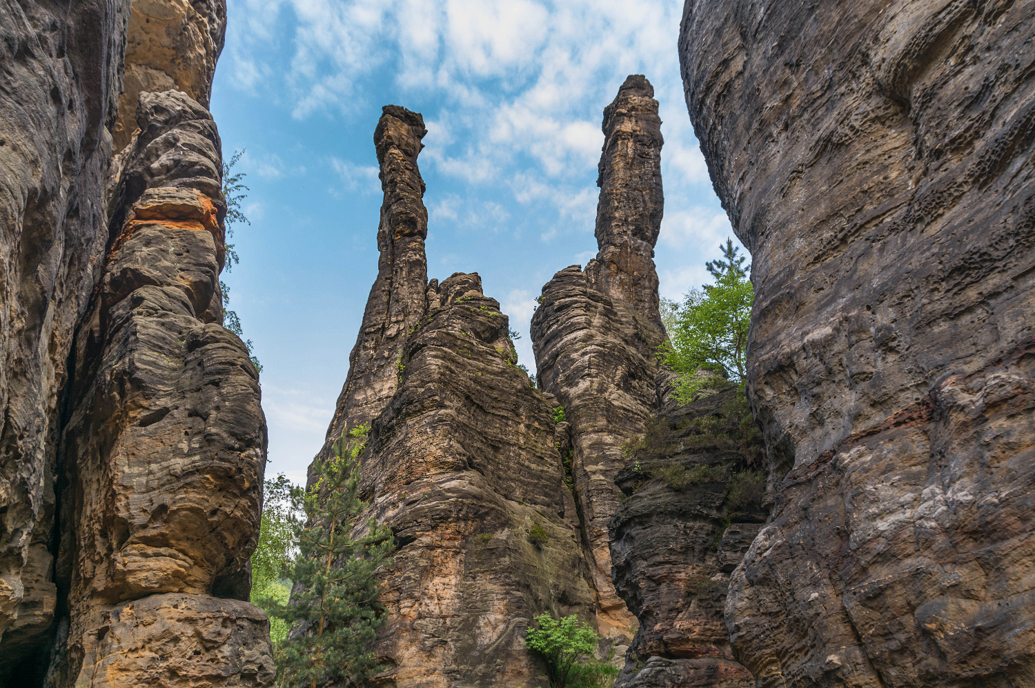 Bizarre Felsen