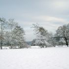 Bizarre Gestalten im Schnee!