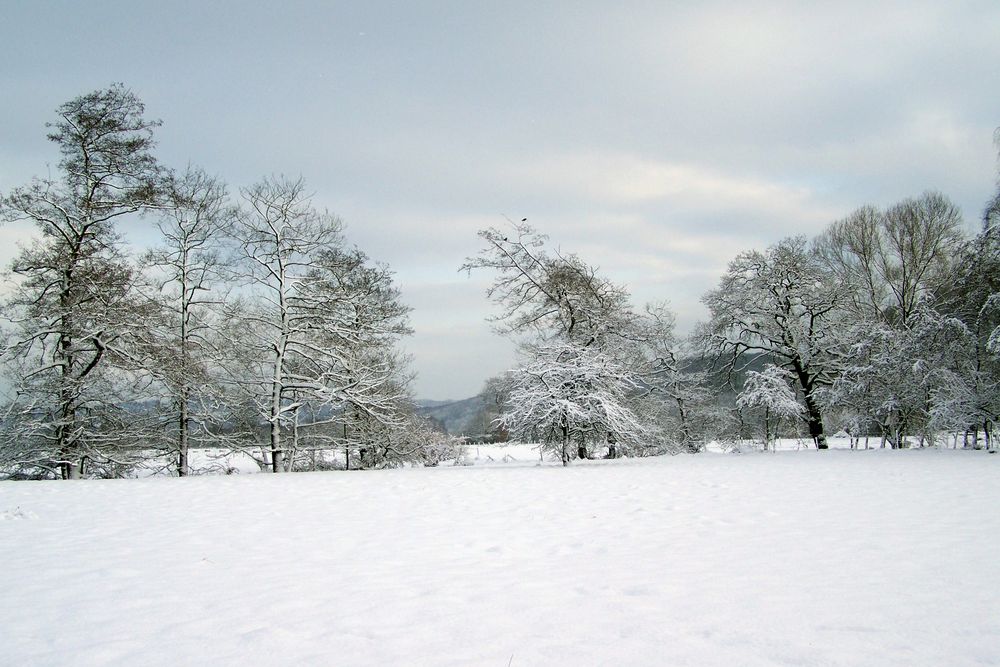 Bizarre Gestalten im Schnee!