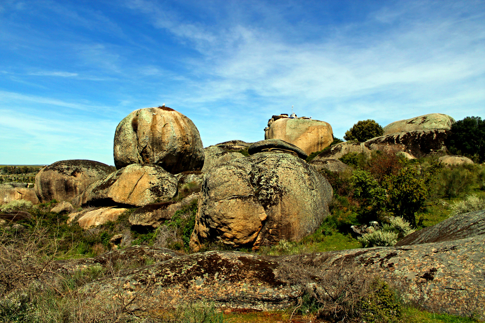 Bizarre Granit-Findlinge