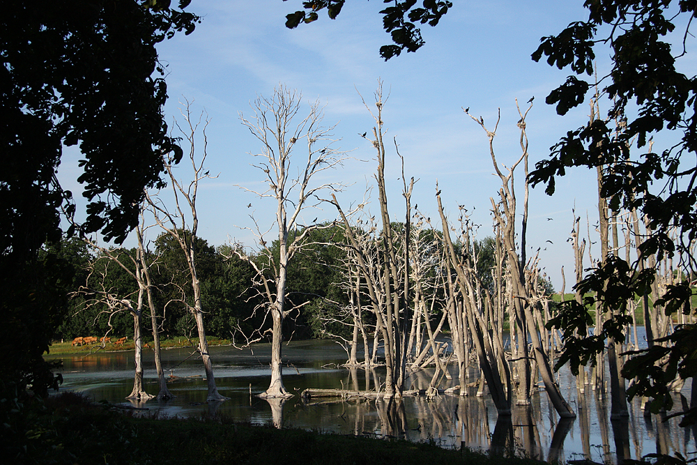 Bizarre Landschaft