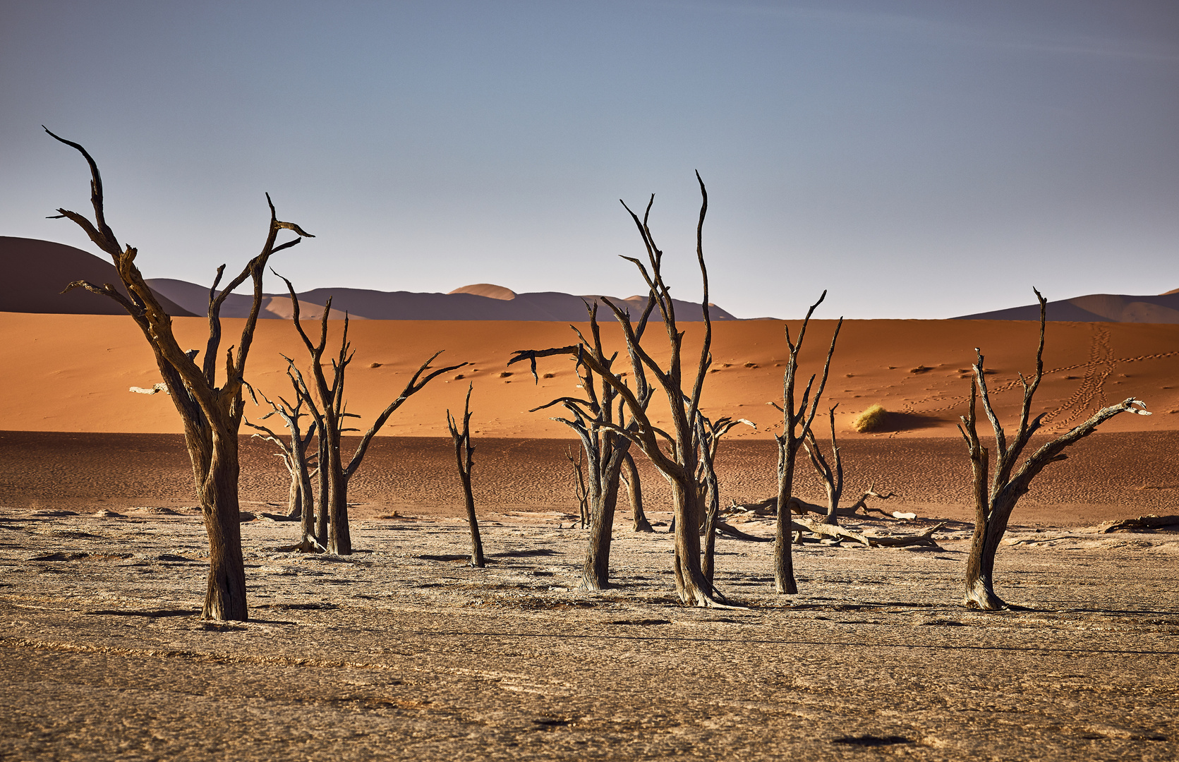 Bizarre Landschaft,  Deadvlei, Namib Desert